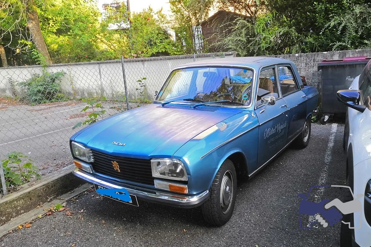بيجو 304